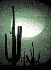 aasunsetdesert.gif